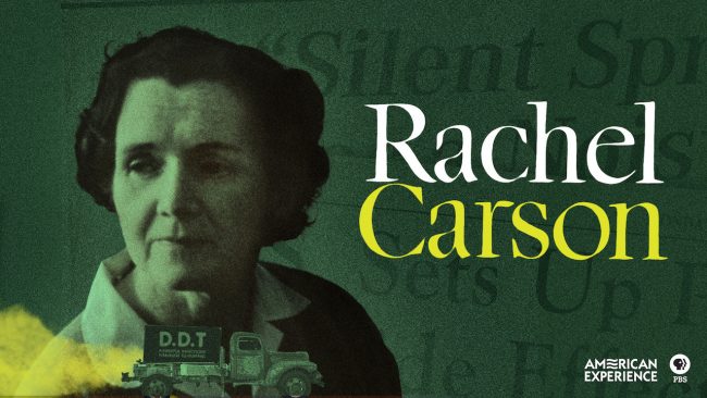 Watch Rachel Carson, American Experience, Official Site