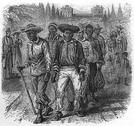 hackled group of enslaved people passing the Capitol | Zinn Education Project