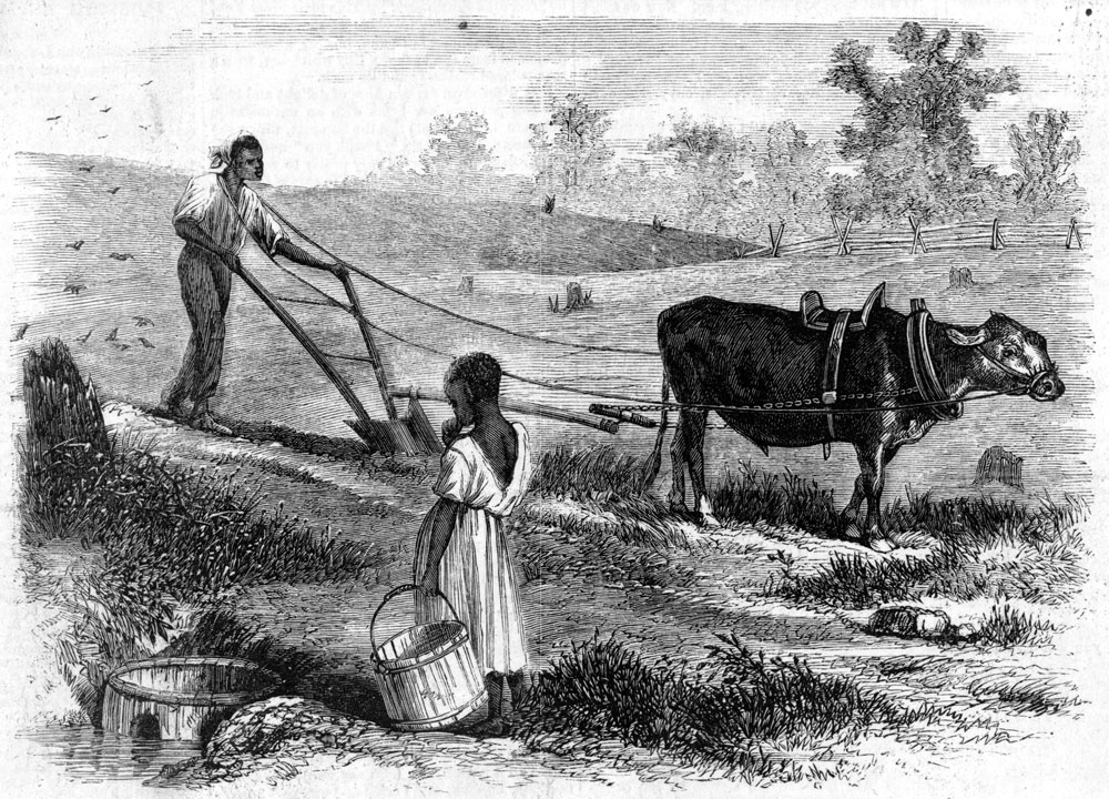 A farmer plowing in South Carolina, 1866 | Zinn Education Project: Teaching People's History