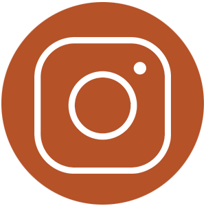 Follow us in Instagram | Zinn Education Project