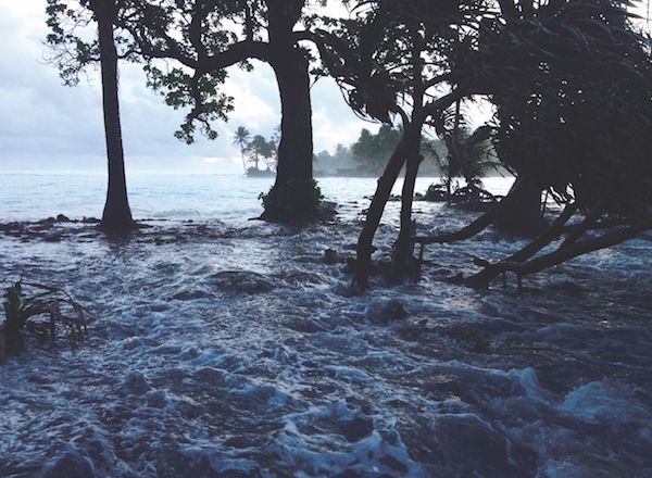 Water Rushing Through Trees, from a Rethinking Schools Article