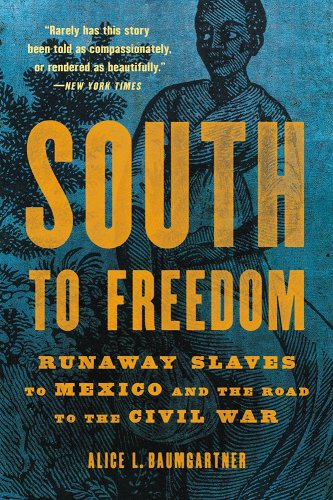 Book cover showing enslaved resistance